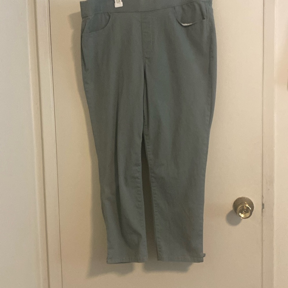 Gloria Vanderbilt stretchy pants